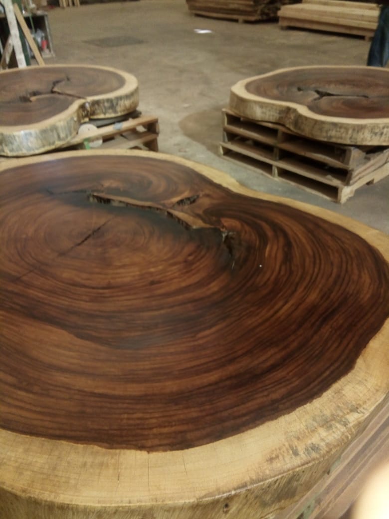 PLANCHA DE PAROTA (DIFERENTES MEDIDAS)